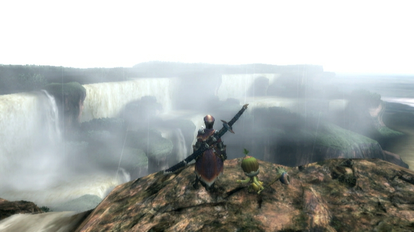 Monster Hunter Tri (3)